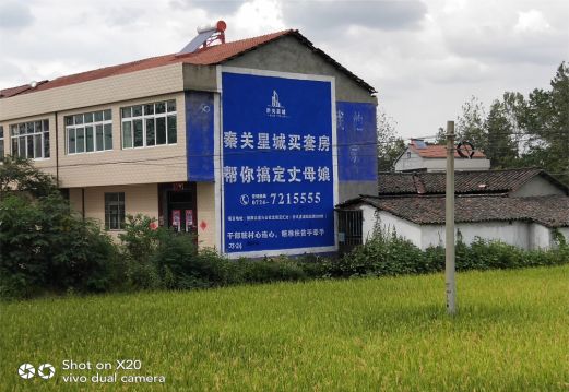 郧西决定墙体广告价格的因素有哪些？