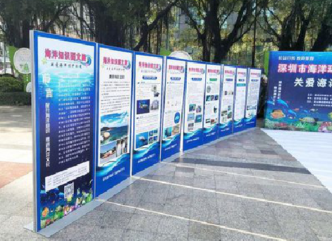 郧西KT板的种类和知识。